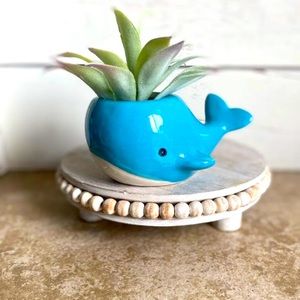 Whale succulent planter
